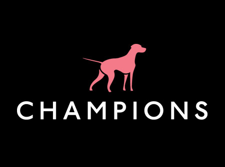 Company-logo