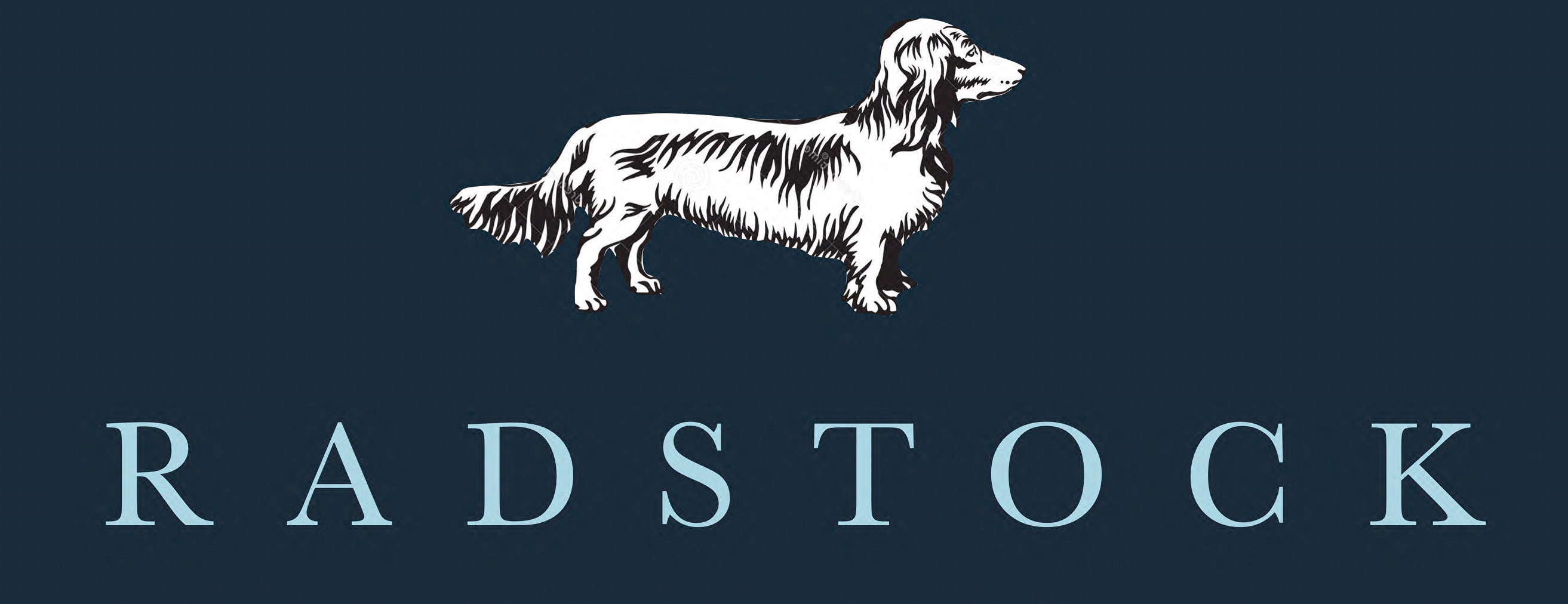 Company-logo